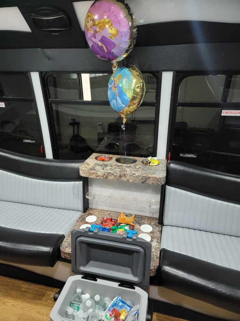 Bus interior before a trip